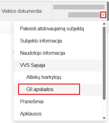 GPAIS GII apskaitos lango vaizdas