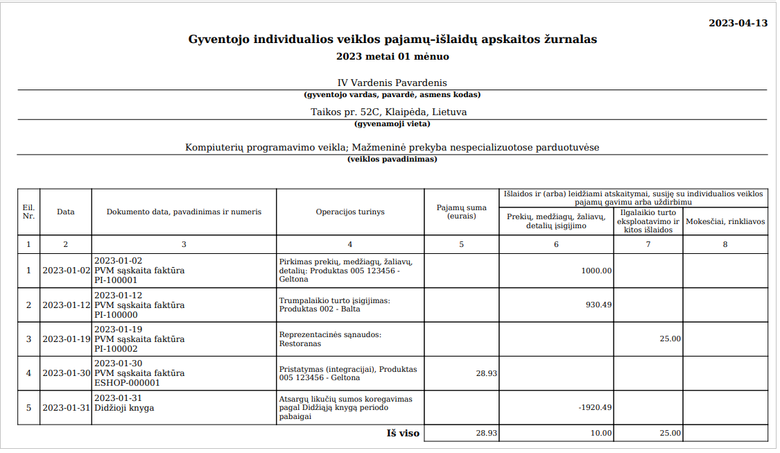Ataskaitos su darbo užmokesčiu ir ilgalaikiu turtu pavyzdys