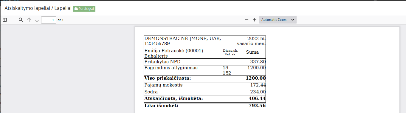 DU ataskaitos lapelių pavyzdinė suformuota ataskaita