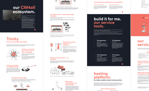 CM4all landing page. Lots of text and vector illustrations, no interface examples